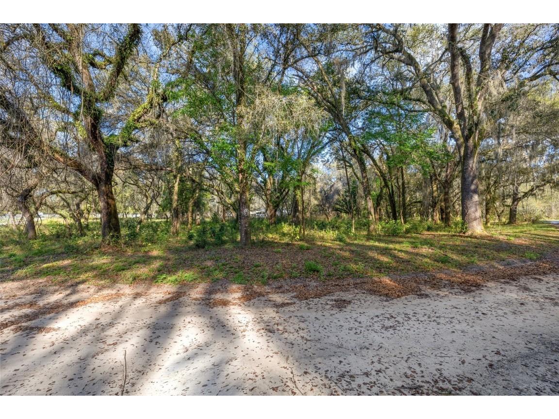 Mazie Drive Lot 106 Zephyrhills FL 33541 T3510775 image1