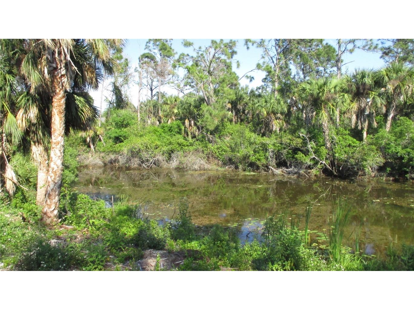 Mc Ginnis Terrace North Port FL 34286 N6131927 image1