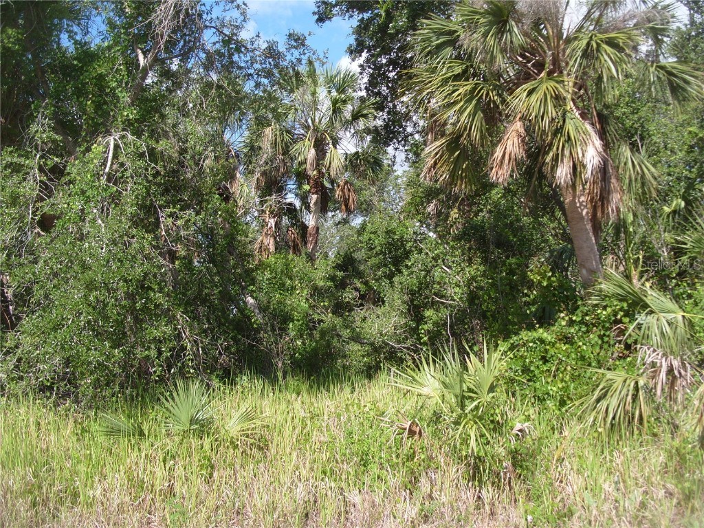 Mcallister Lane North Port FL 34288 C7476718 image1
