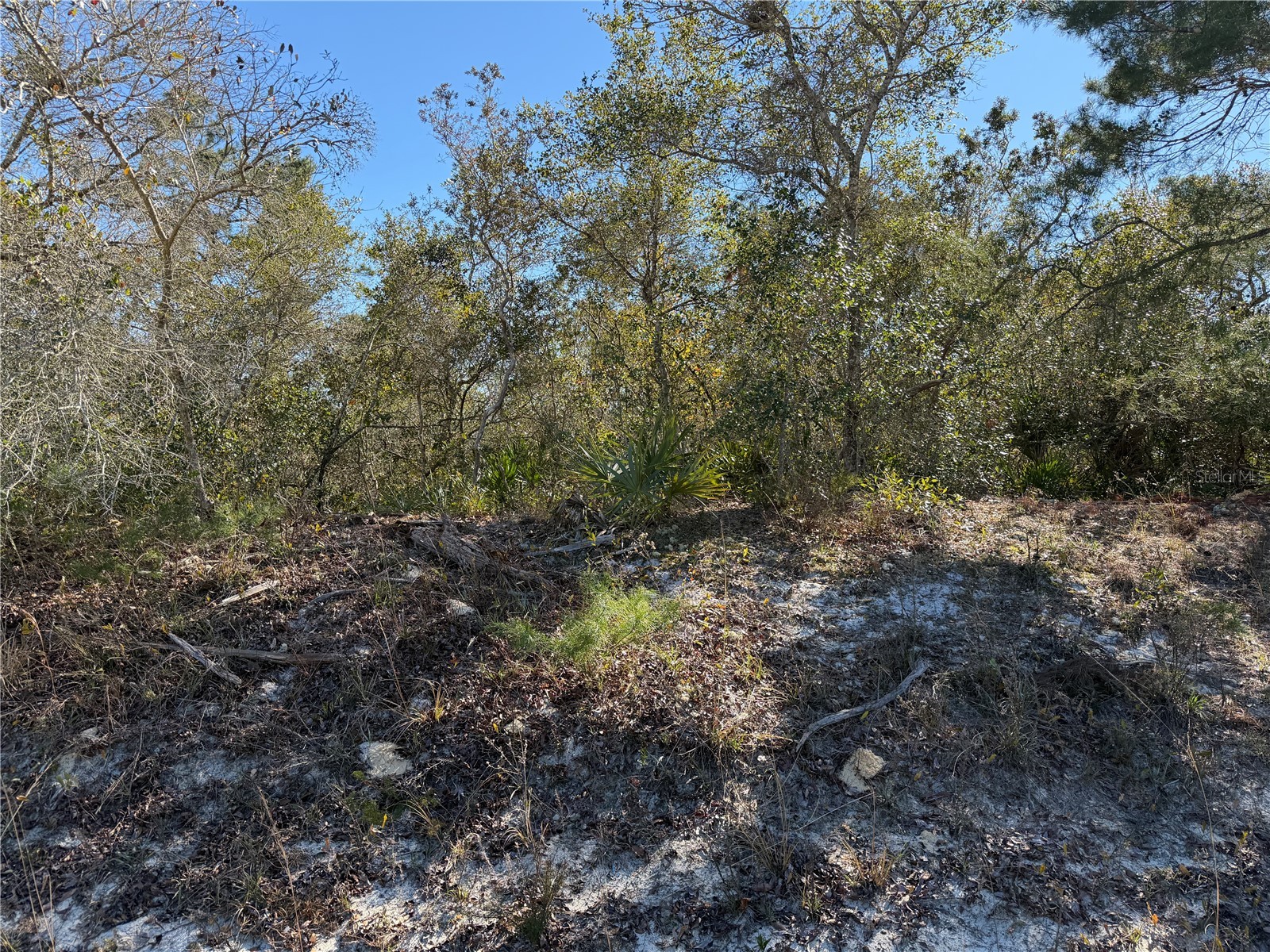 Mcbride Avenue Deltona FL 32725 O6382805 image1