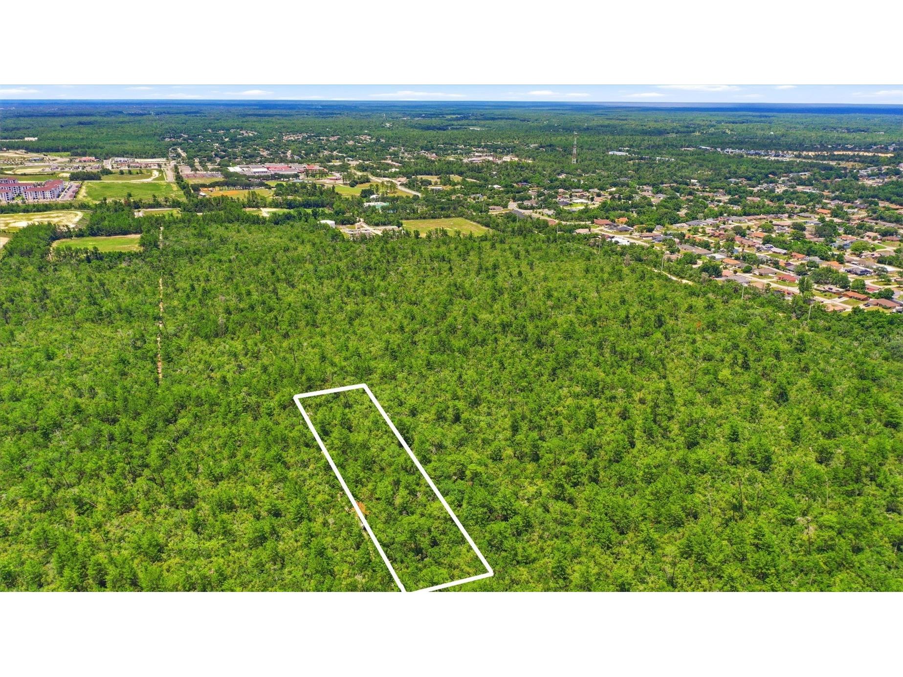 Mcbride Avenue Deltona FL 32725 O6415993 image15