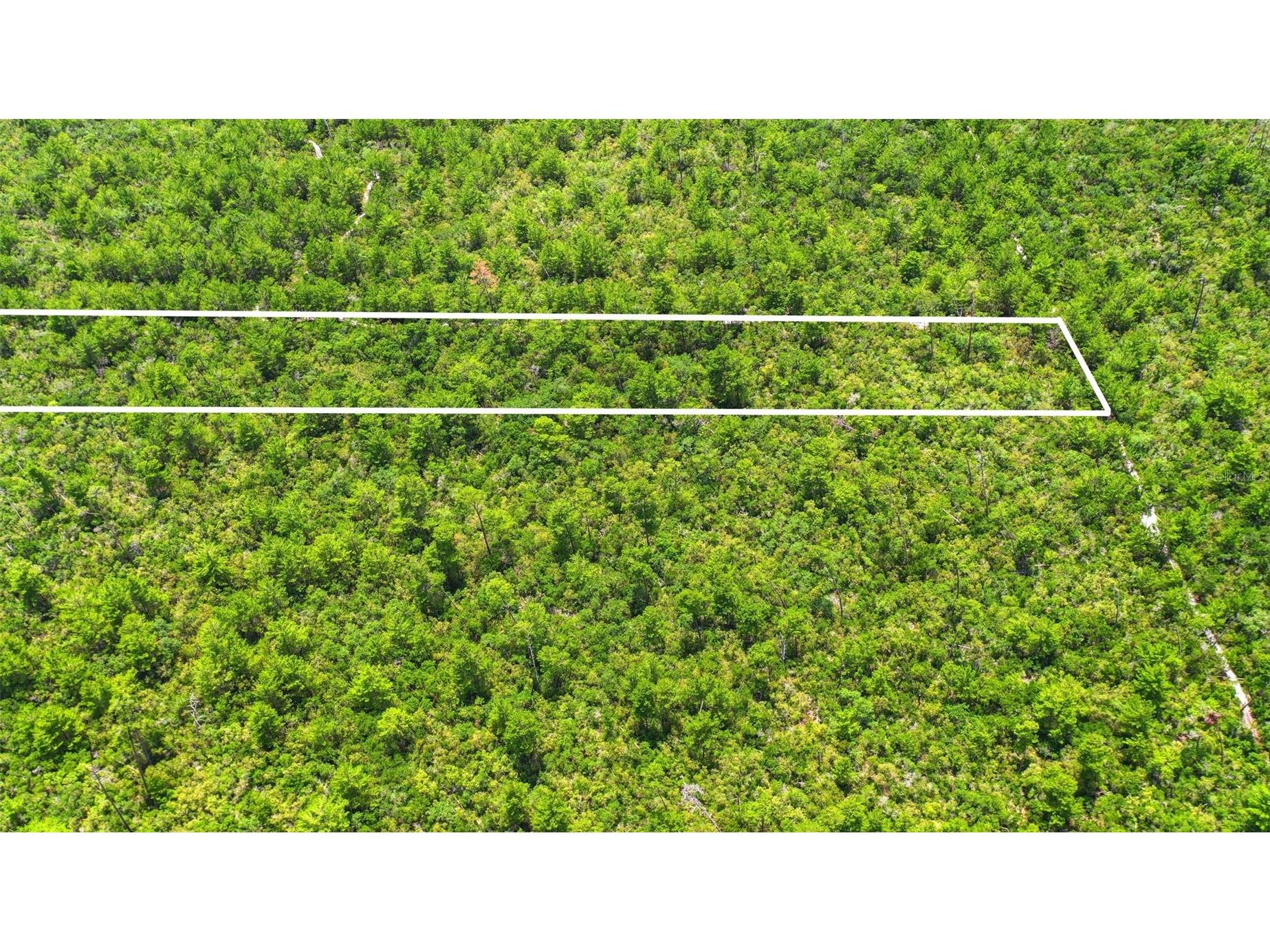 Mcbride Avenue Deltona FL 32725 O6415993 image21