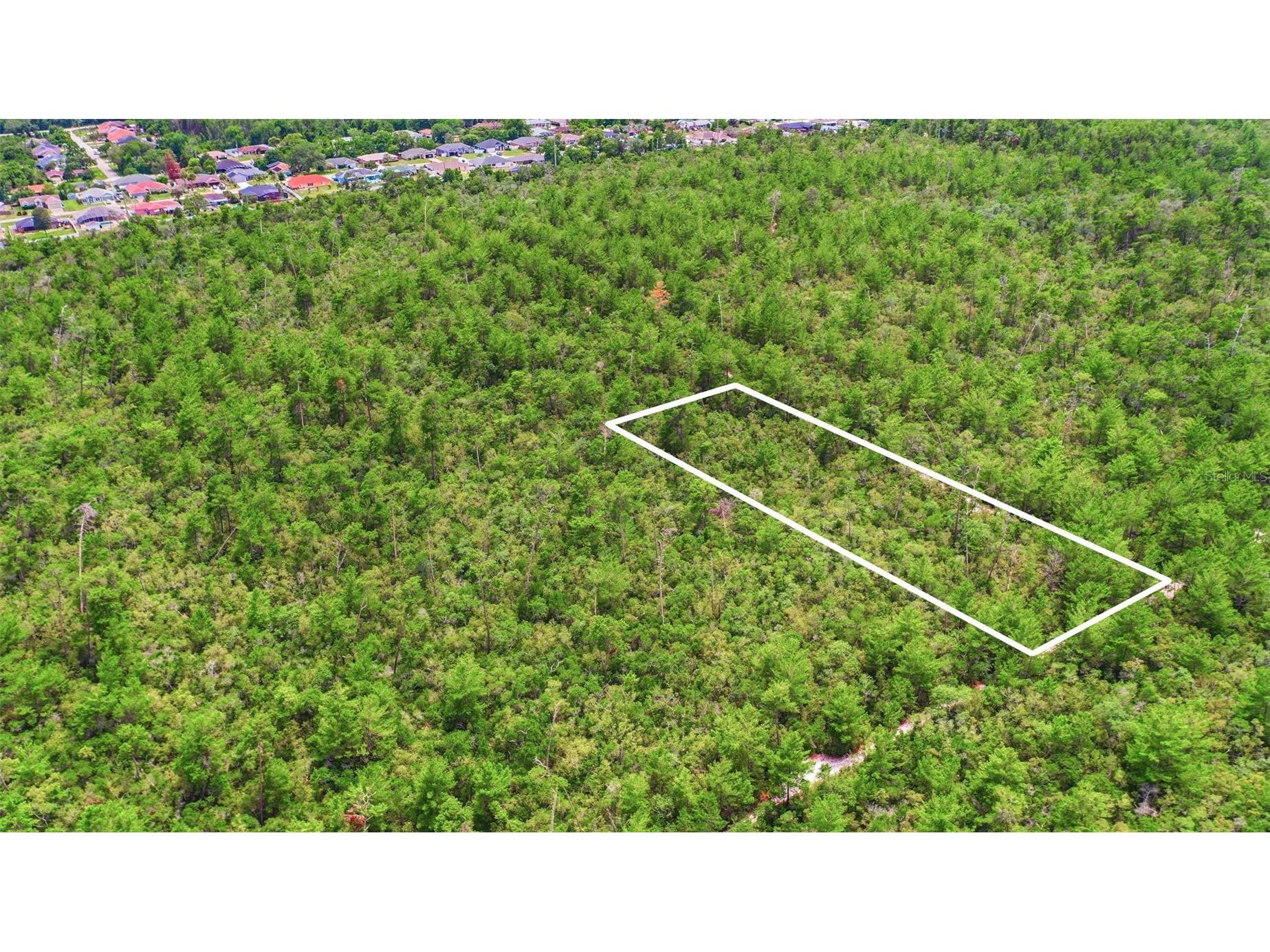 Mcbride Avenue Deltona FL 32725 O6415993 image25