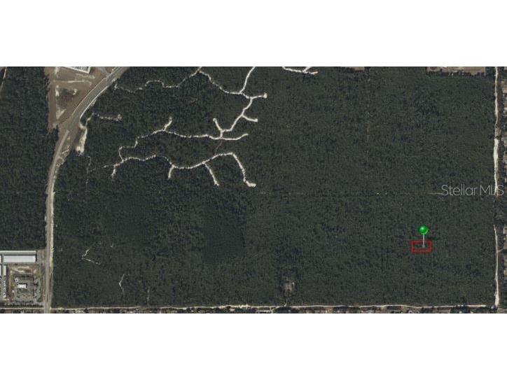 Mcbride Avenue Deltona FL 32725 T3518753 image1