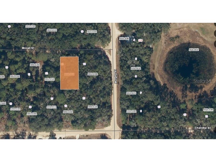 Mccall Street Interlachen FL 32148 TB8406437 image2