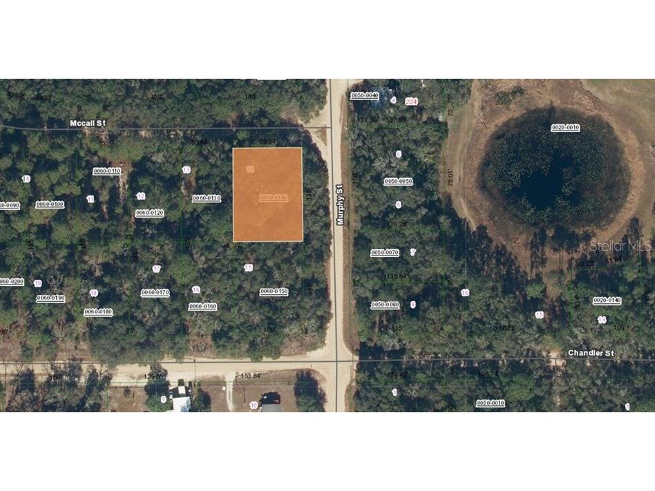 Mccall Street Interlachen FL 32148 TB8406466 image2