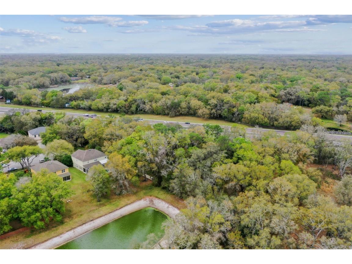 Mccrea Drive Lutz FL 33549 T3510433 image10