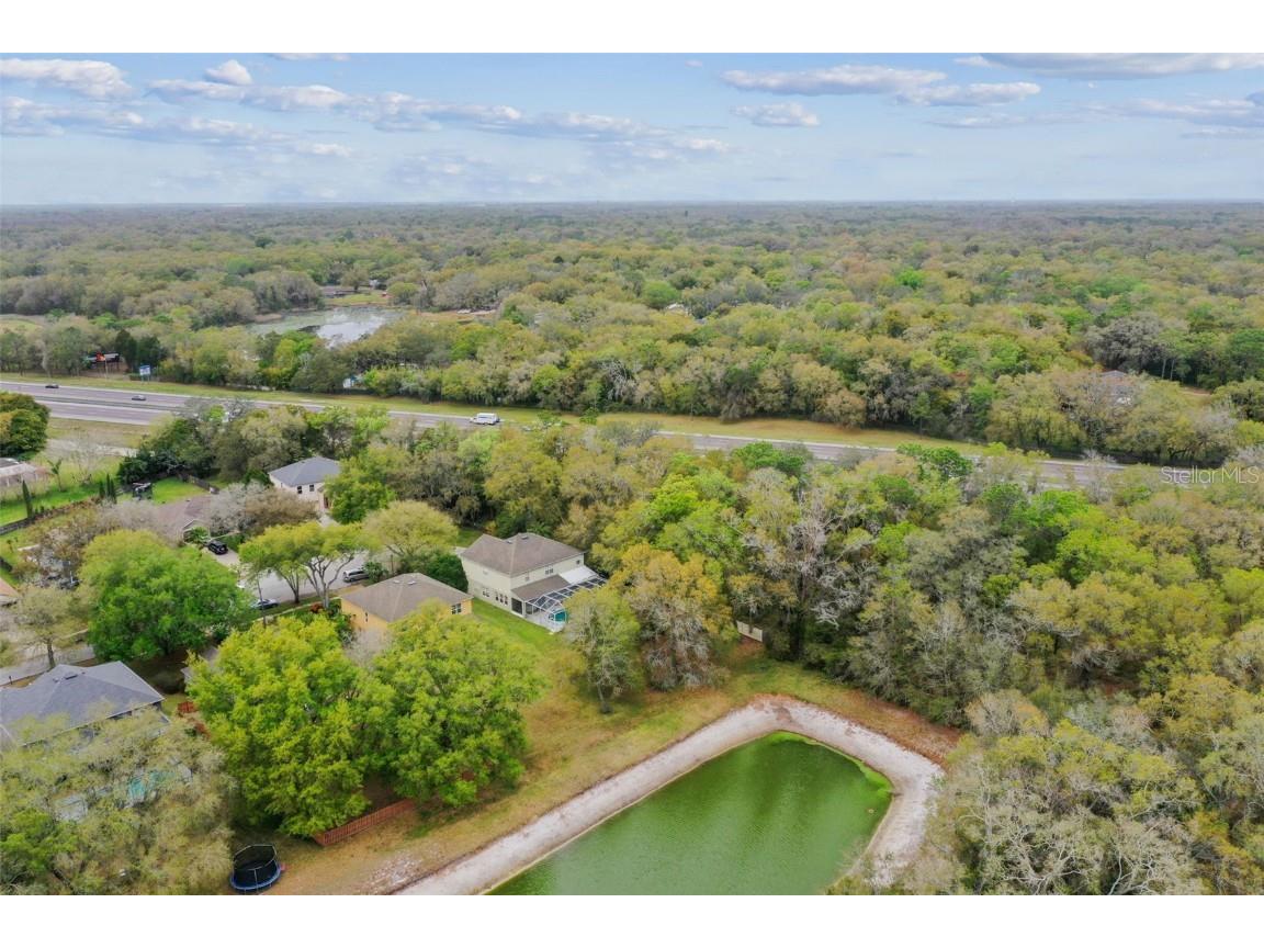 Mccrea Drive Lutz FL 33549 T3510433 image11