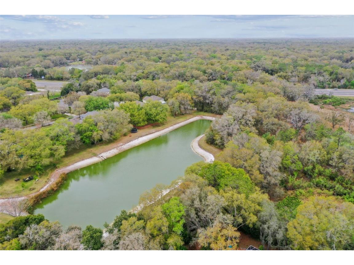 Mccrea Drive Lutz FL 33549 T3510433 image12