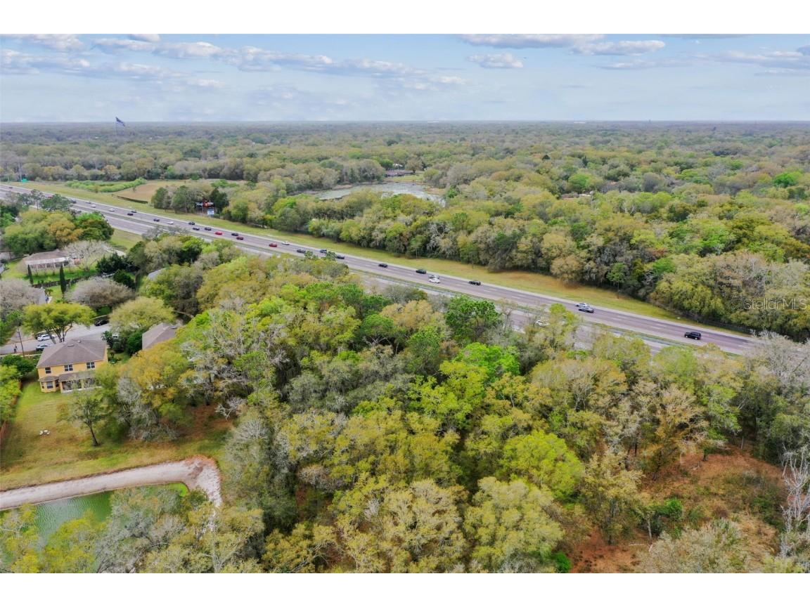 Mccrea Drive Lutz FL 33549 T3510433 image13