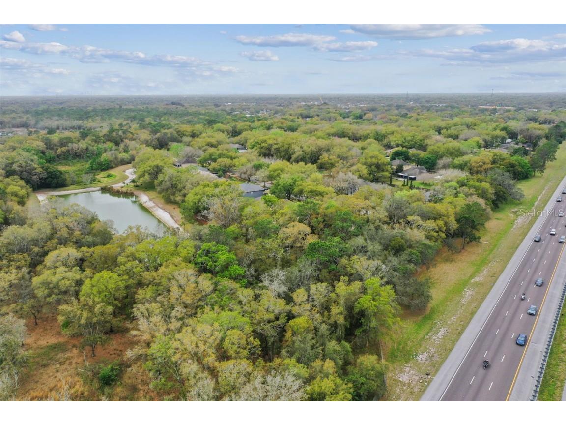 Mccrea Drive Lutz FL 33549 T3510433 image15