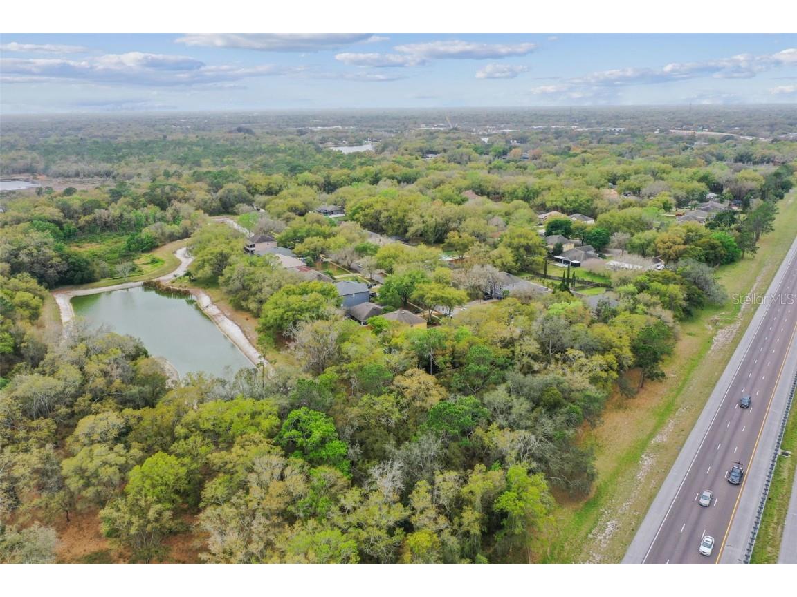 Mccrea Drive Lutz FL 33549 T3510433 image16