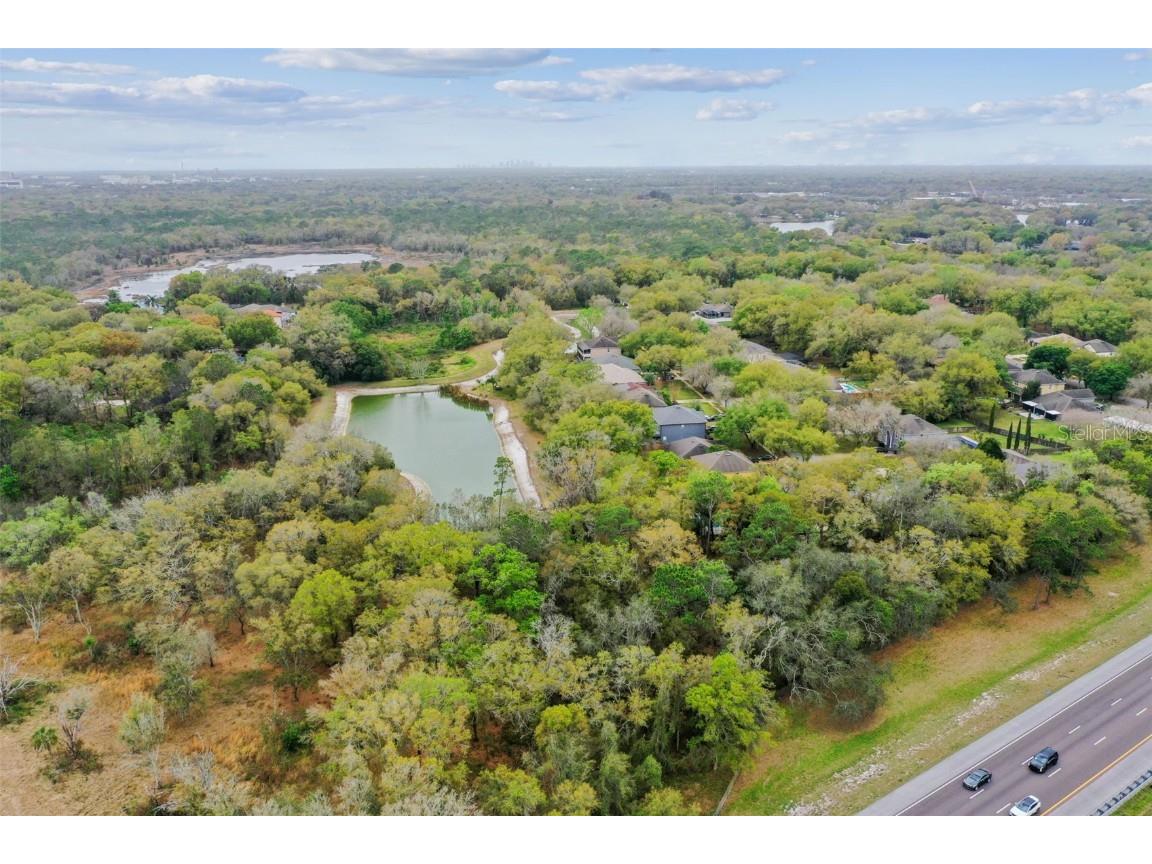 Mccrea Drive Lutz FL 33549 T3510433 image17
