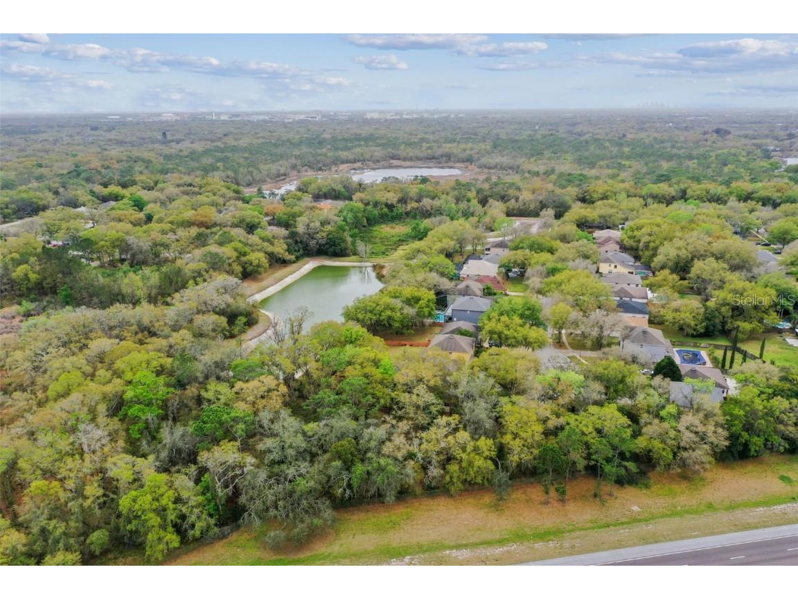 Mccrea Drive Lutz FL 33549 T3510433 image18
