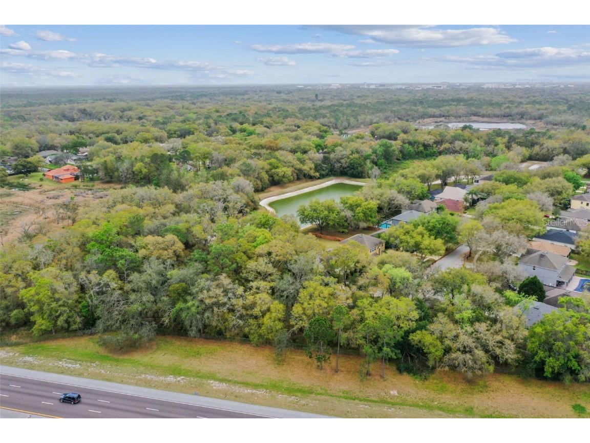 Mccrea Drive Lutz FL 33549 T3510433 image19