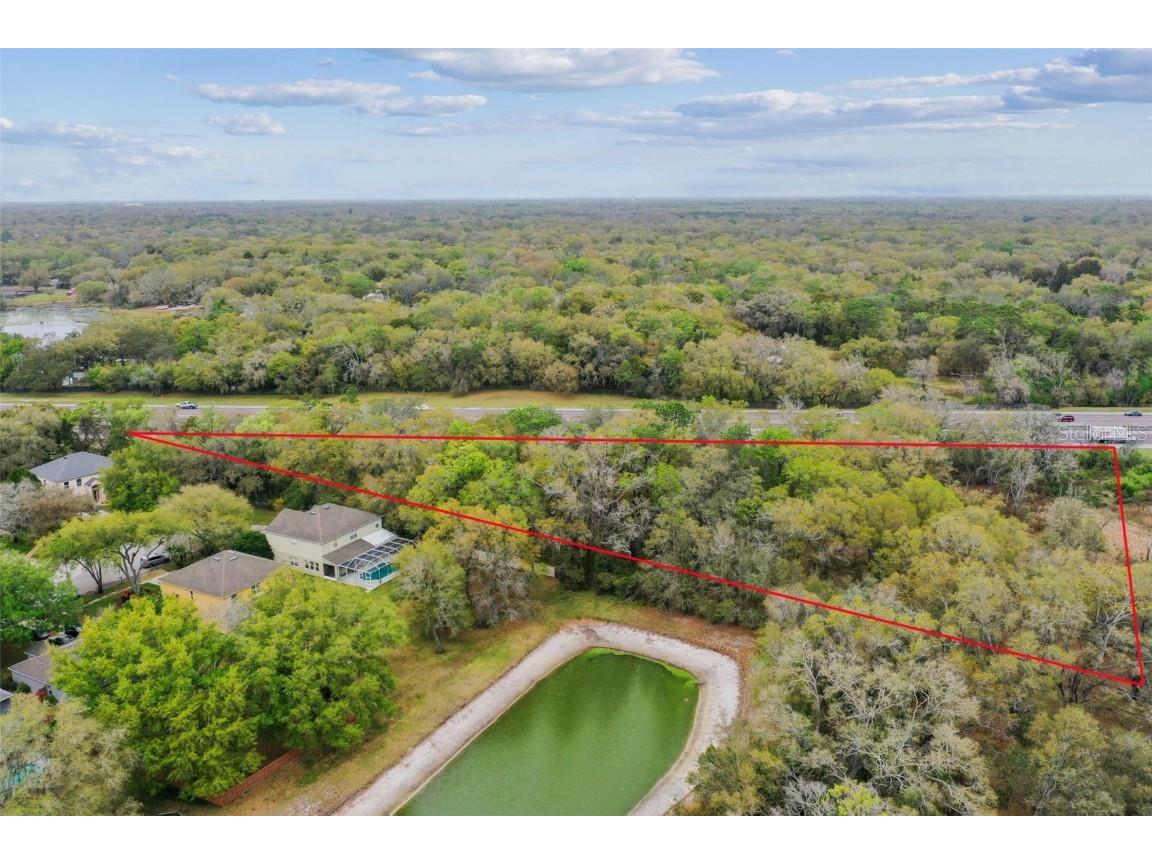 Mccrea Drive Lutz FL 33549 T3510433 image2