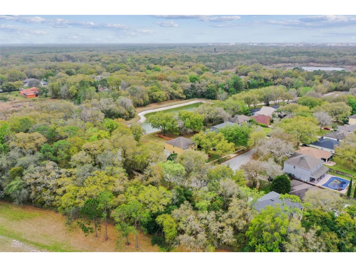 Mccrea Drive Lutz FL 33549 T3510433 image20