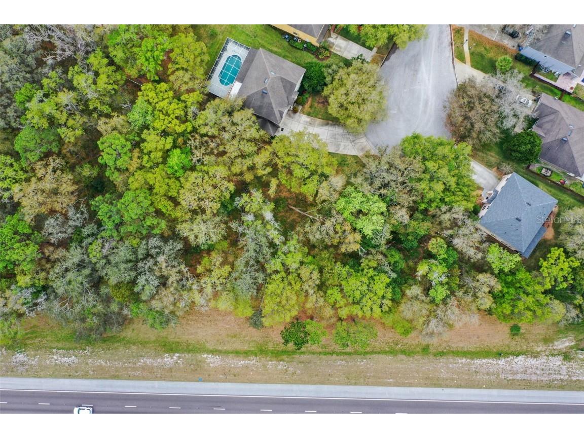 Mccrea Drive Lutz FL 33549 T3510433 image21