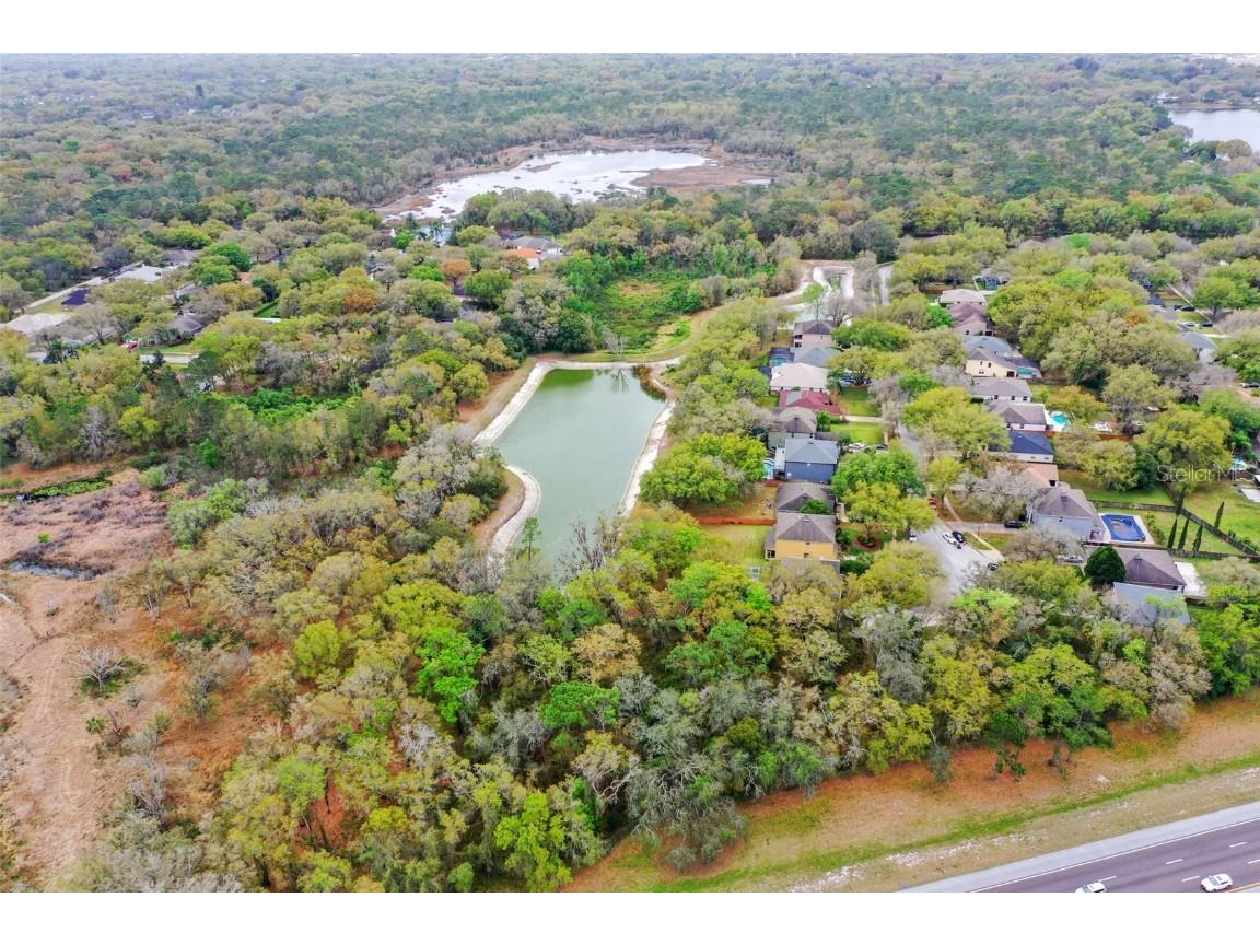 Mccrea Drive Lutz FL 33549 T3510433 image22