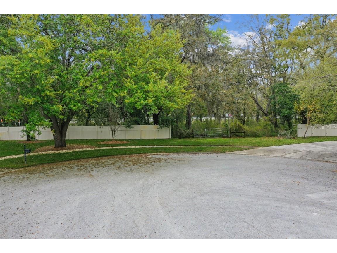 Mccrea Drive Lutz FL 33549 T3510433 image24