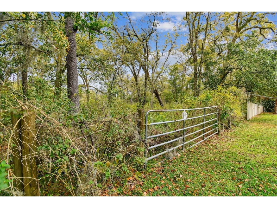 Mccrea Drive Lutz FL 33549 T3510433 image25