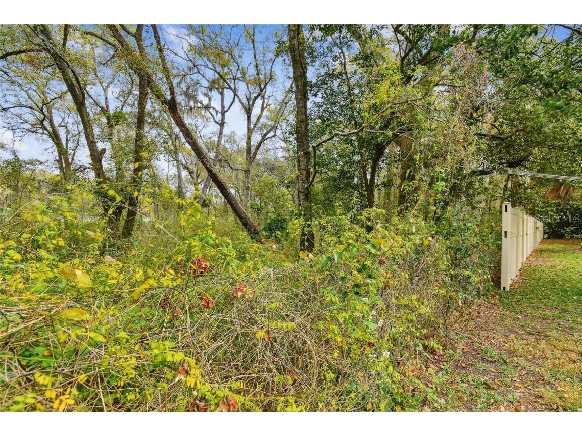 Mccrea Drive Lutz FL 33549 T3510433 image26