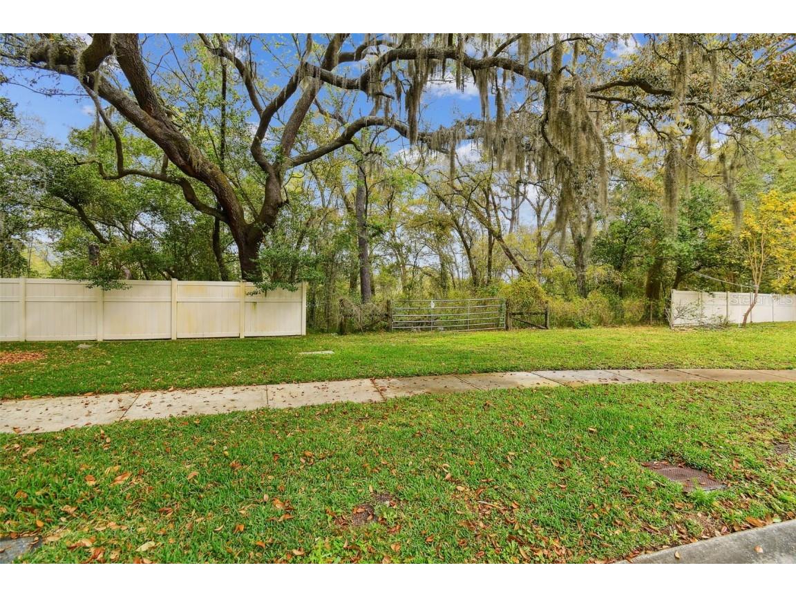 Mccrea Drive Lutz FL 33549 T3510433 image28