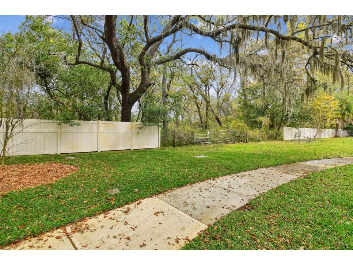 Mccrea Drive Lutz FL 33549 T3510433 image29