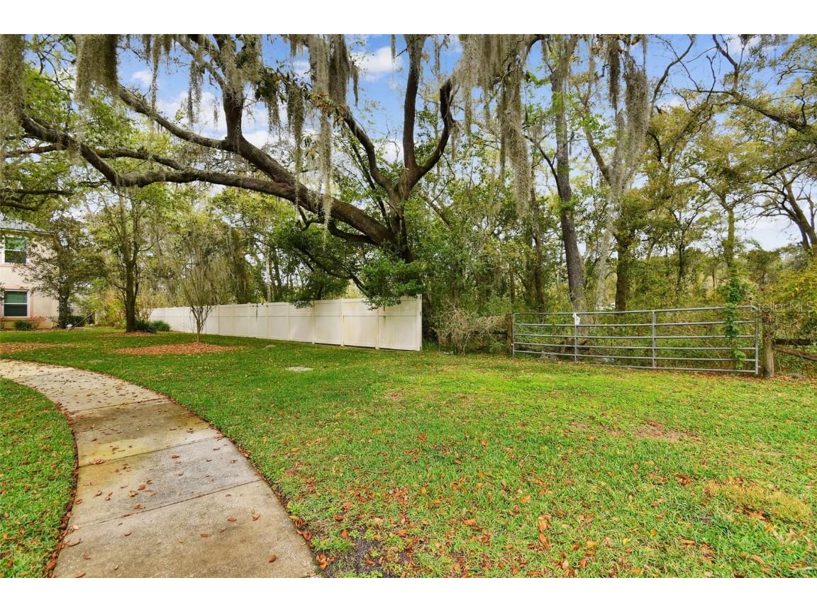 Mccrea Drive Lutz FL 33549 T3510433 image30