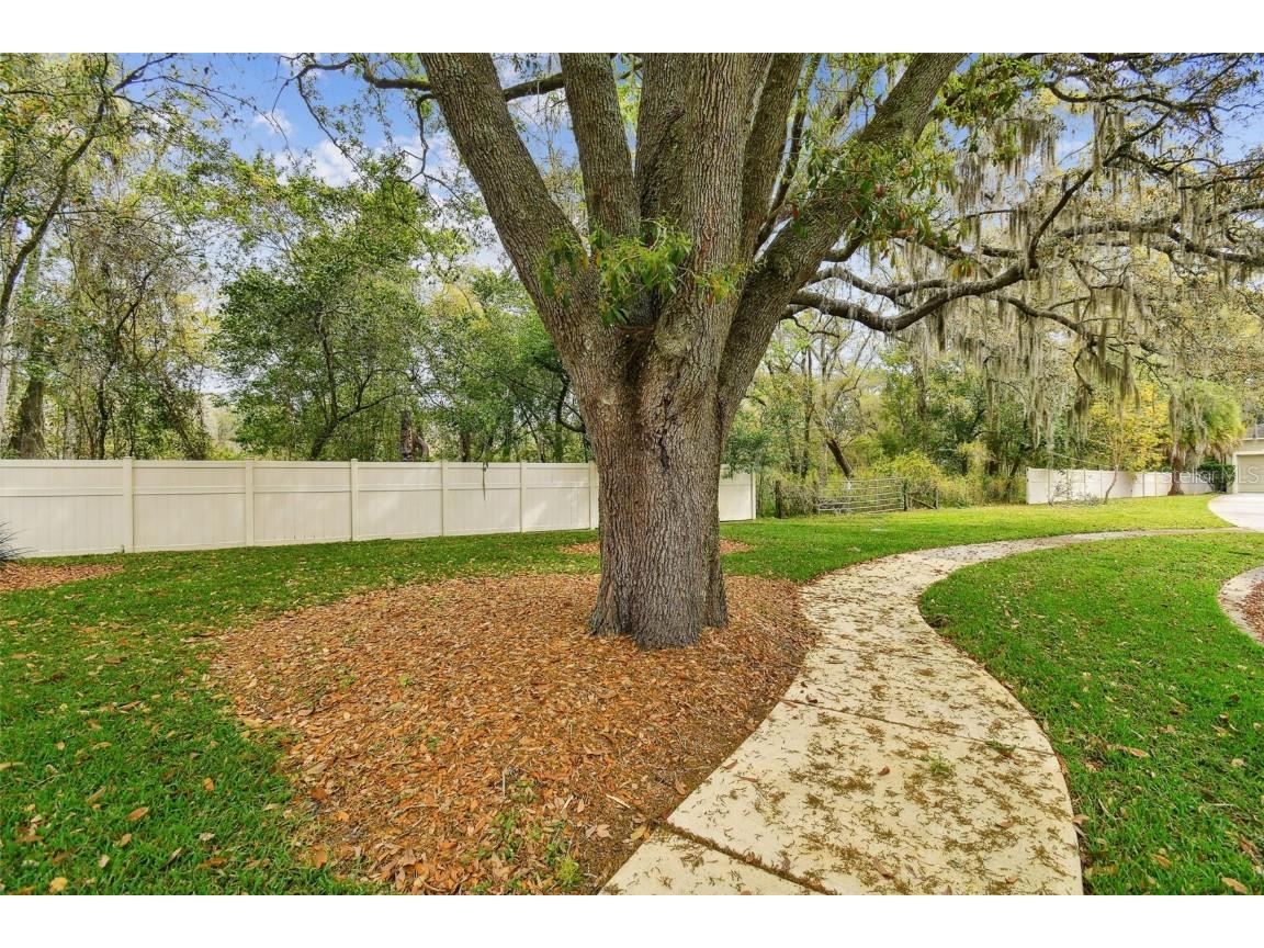 Mccrea Drive Lutz FL 33549 T3510433 image31