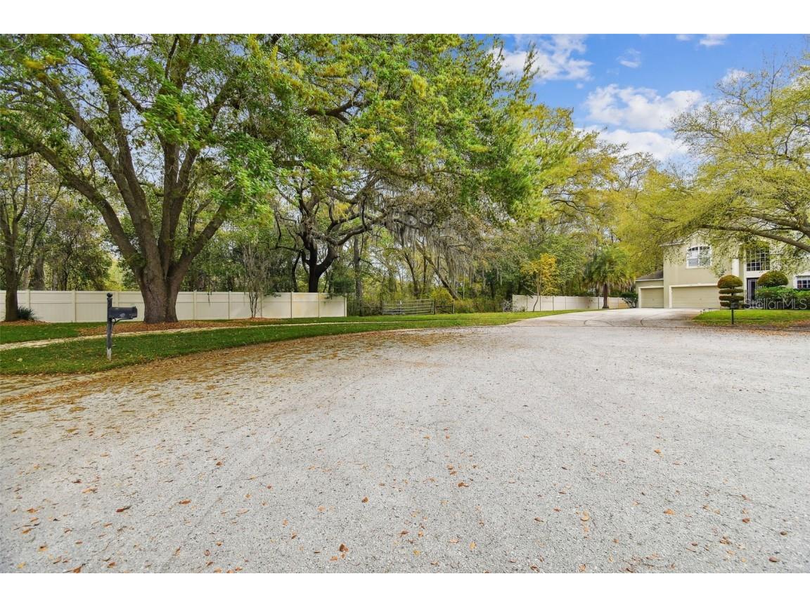 Mccrea Drive Lutz FL 33549 T3510433 image32