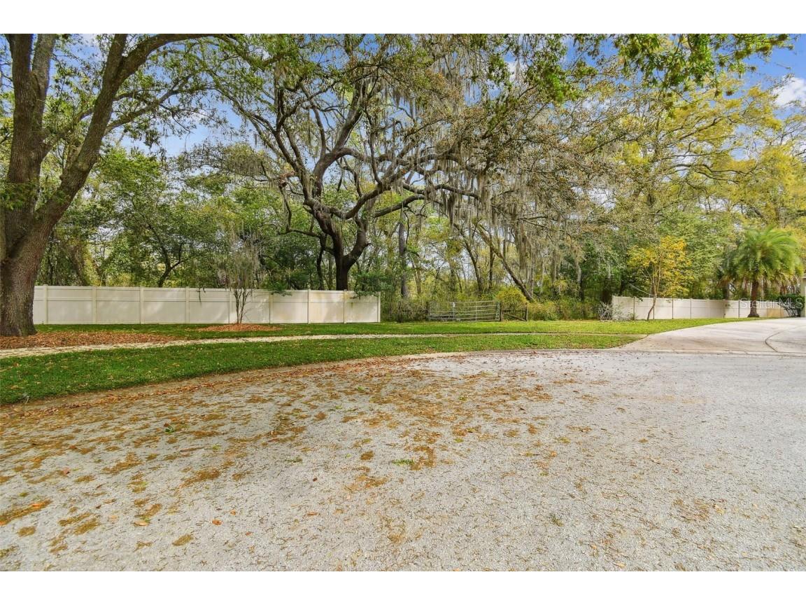 Mccrea Drive Lutz FL 33549 T3510433 image33
