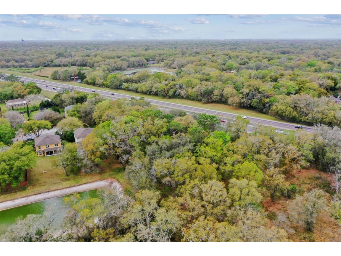 Mccrea Drive Lutz FL 33549 T3510433 image8