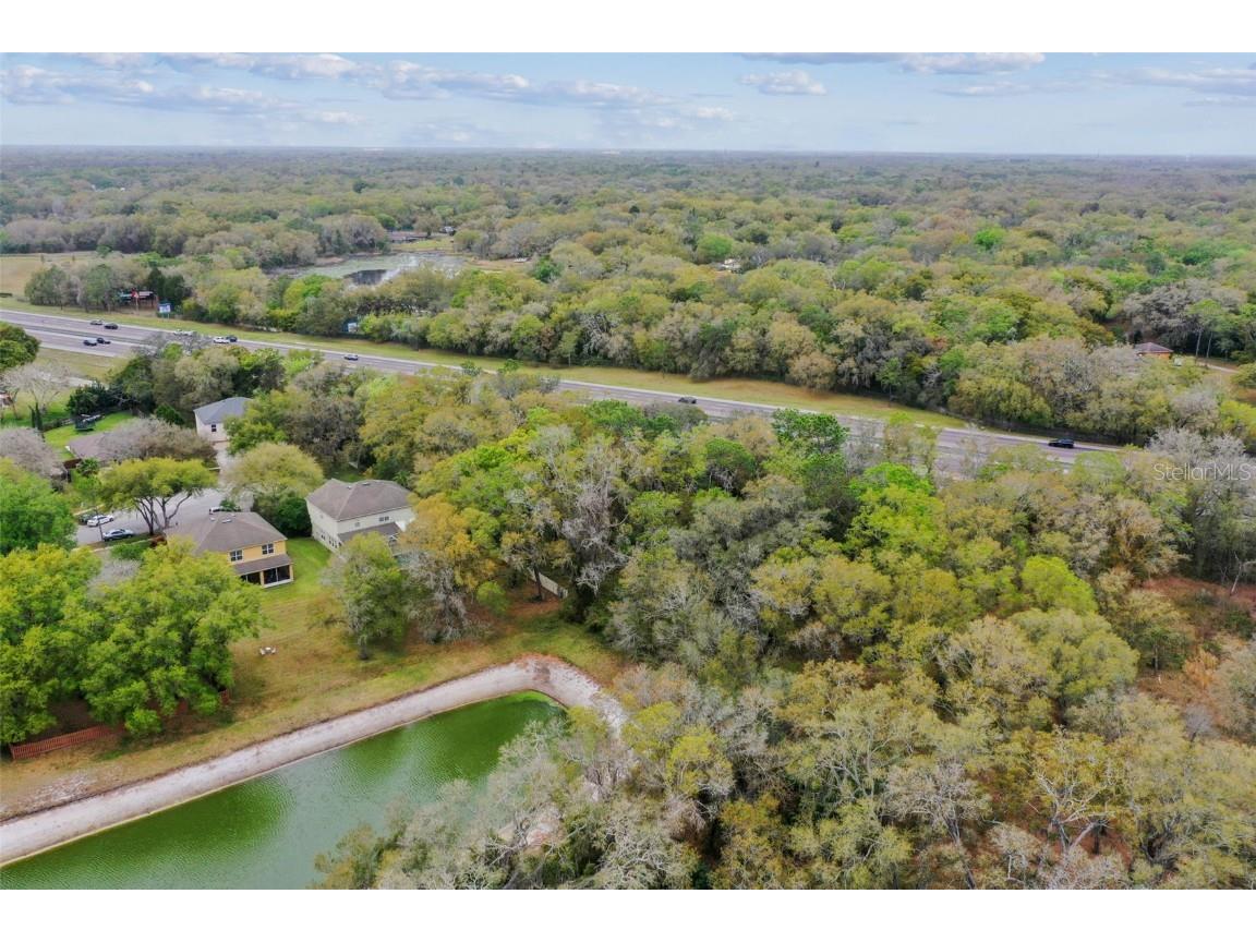 Mccrea Drive Lutz FL 33549 T3510433 image9