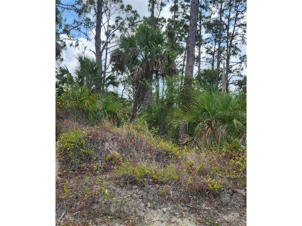 Mcginnis Terrace North Port FL 34286 C7500516 image2