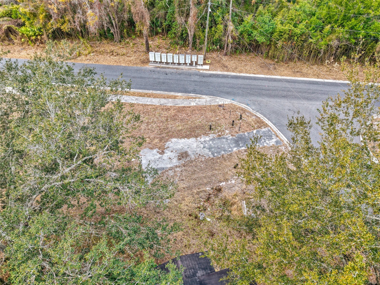 Mckay Street Sanford FL 32771 S5144444 image36