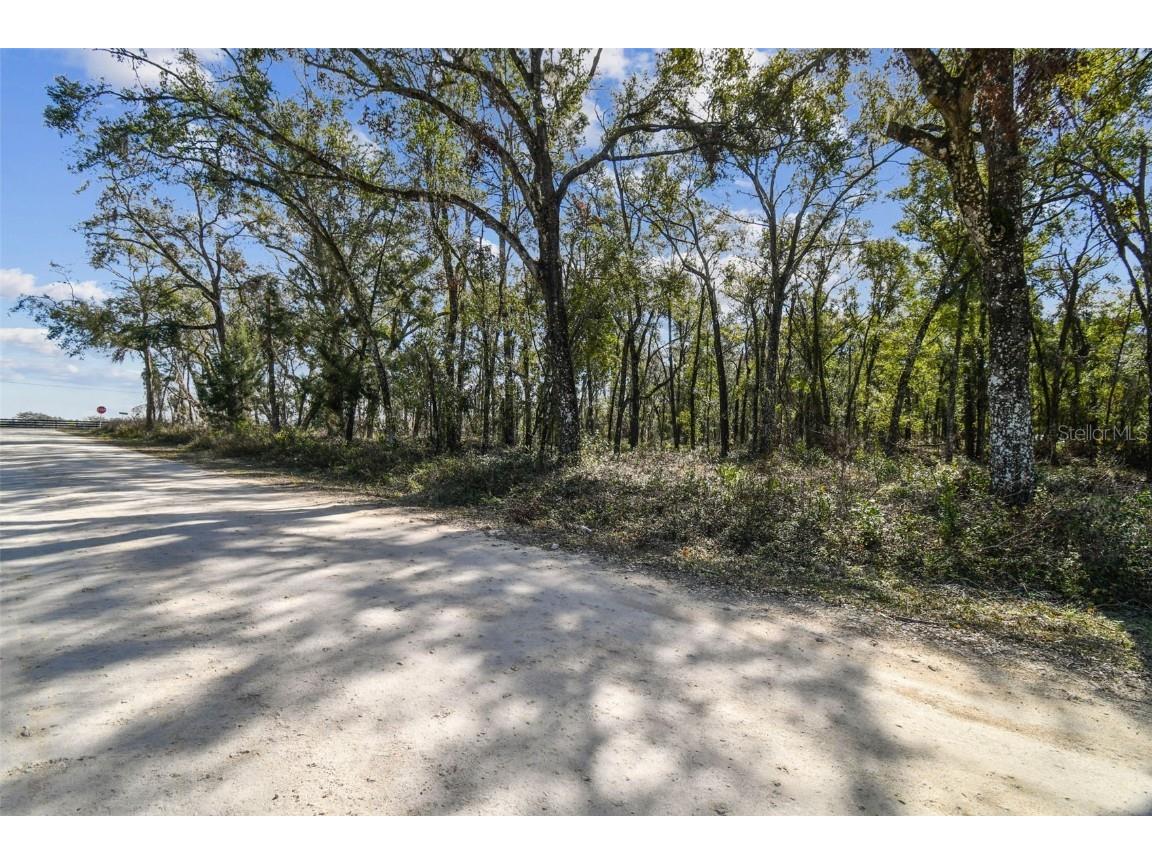 Mckethan Road Dade City FL 33523 TB8341280 image22