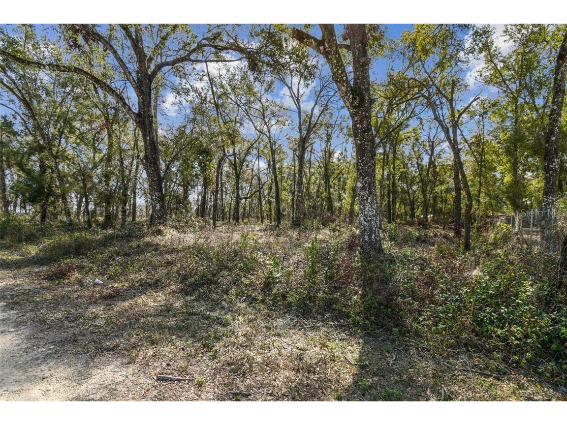 Mckethan Road Dade City FL 33523 TB8341280 image23