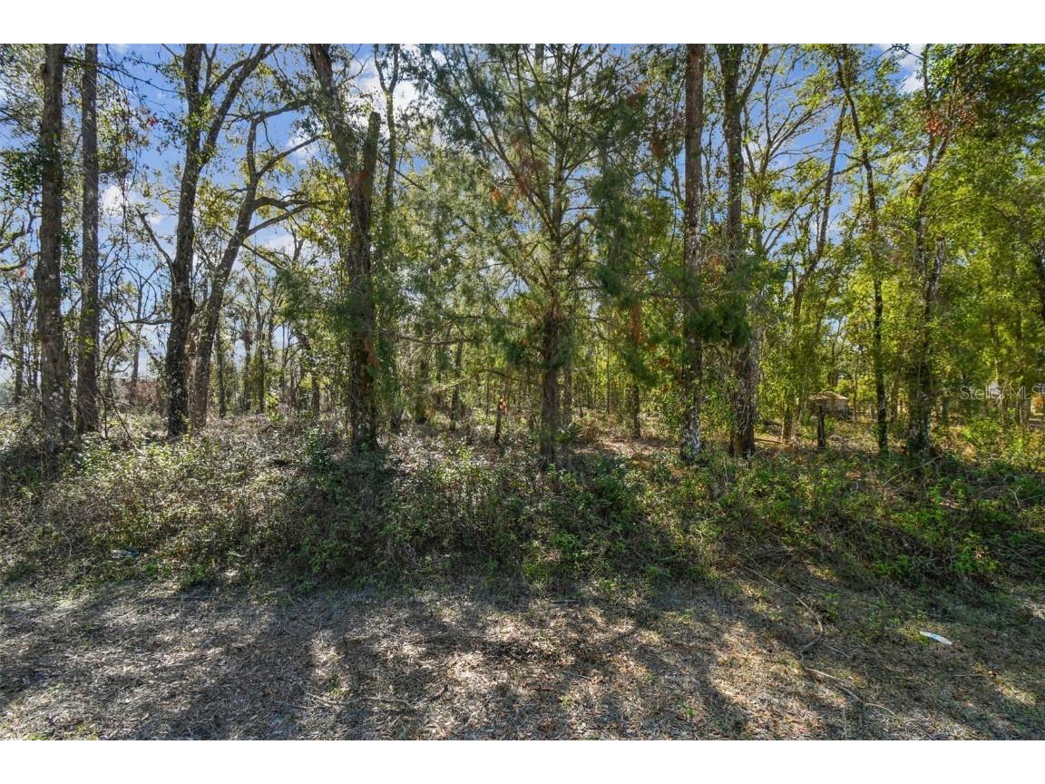 Mckethan Road Dade City FL 33523 TB8341280 image24