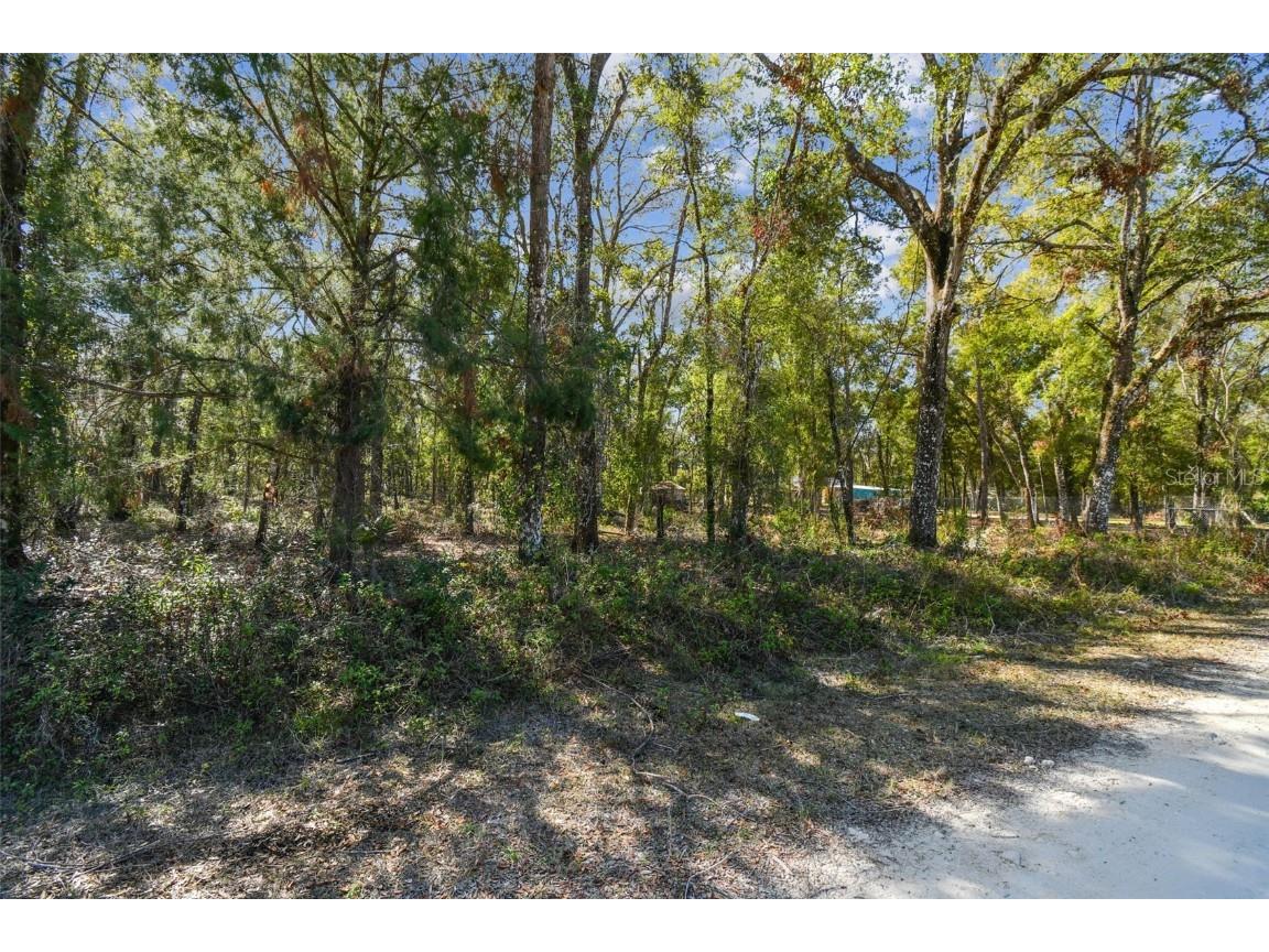 Mckethan Road Dade City FL 33523 TB8341280 image25