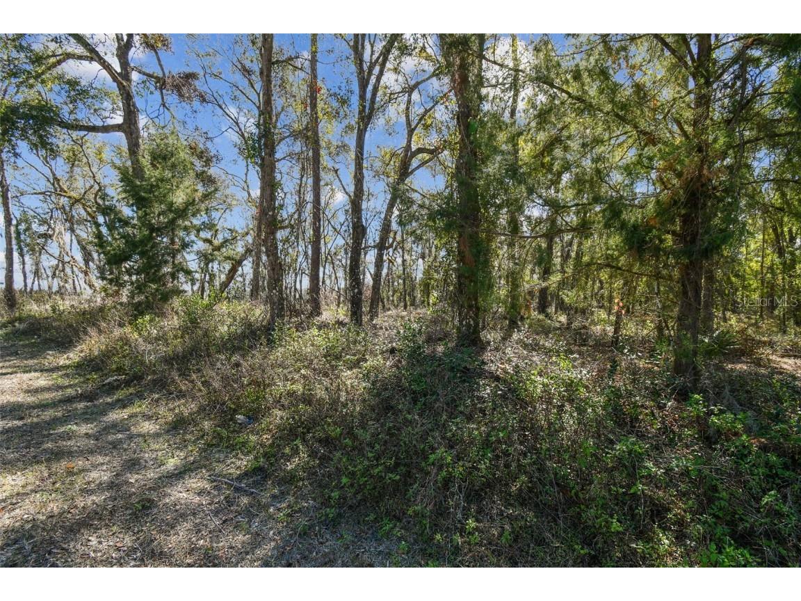 Mckethan Road Dade City FL 33523 TB8341280 image26