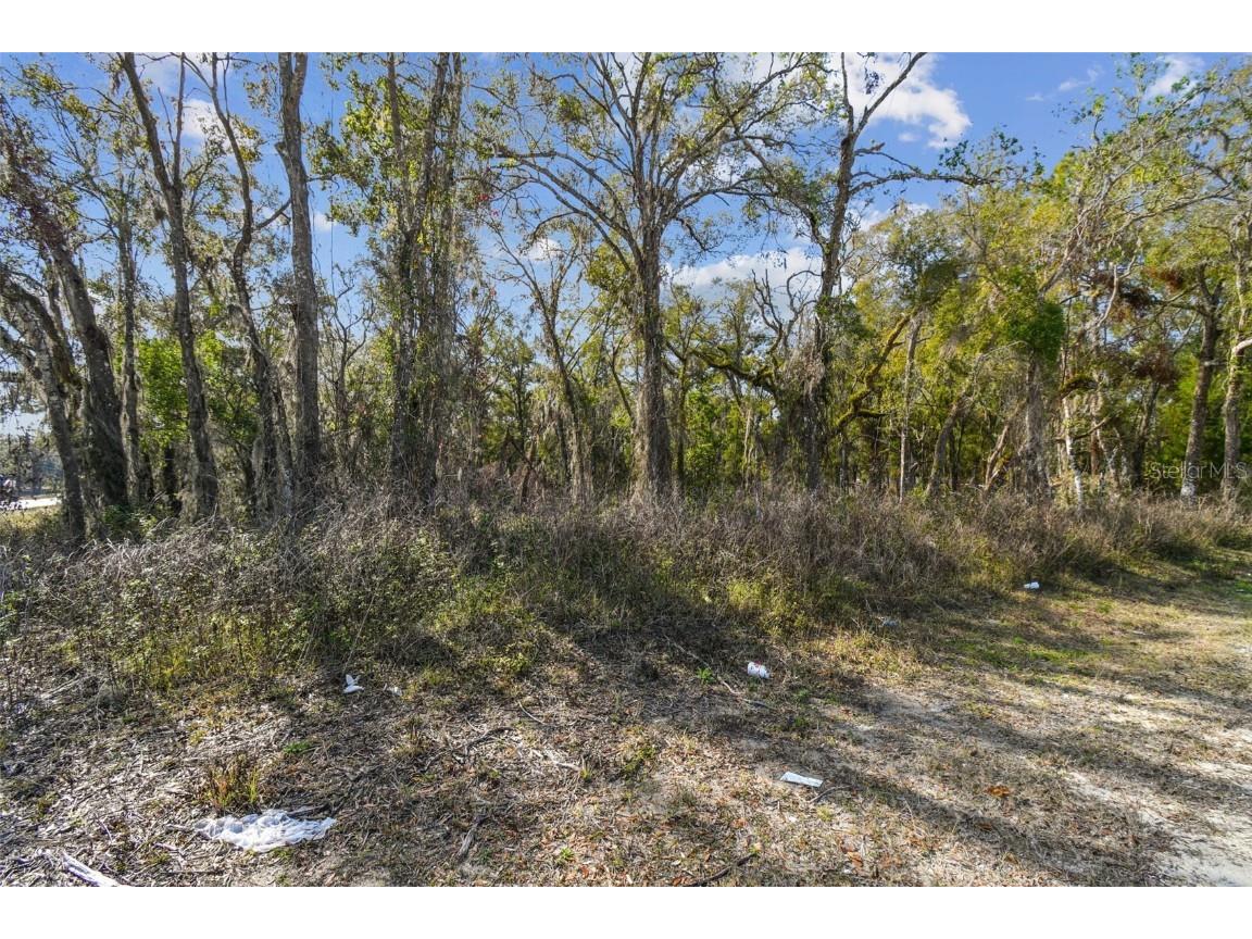 Mckethan Road Dade City FL 33523 TB8341280 image27