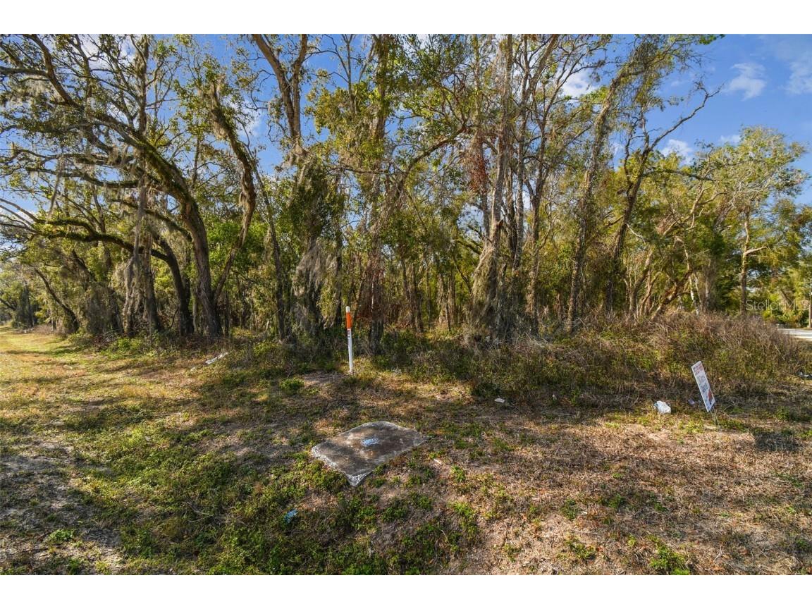 Mckethan Road Dade City FL 33523 TB8341280 image29