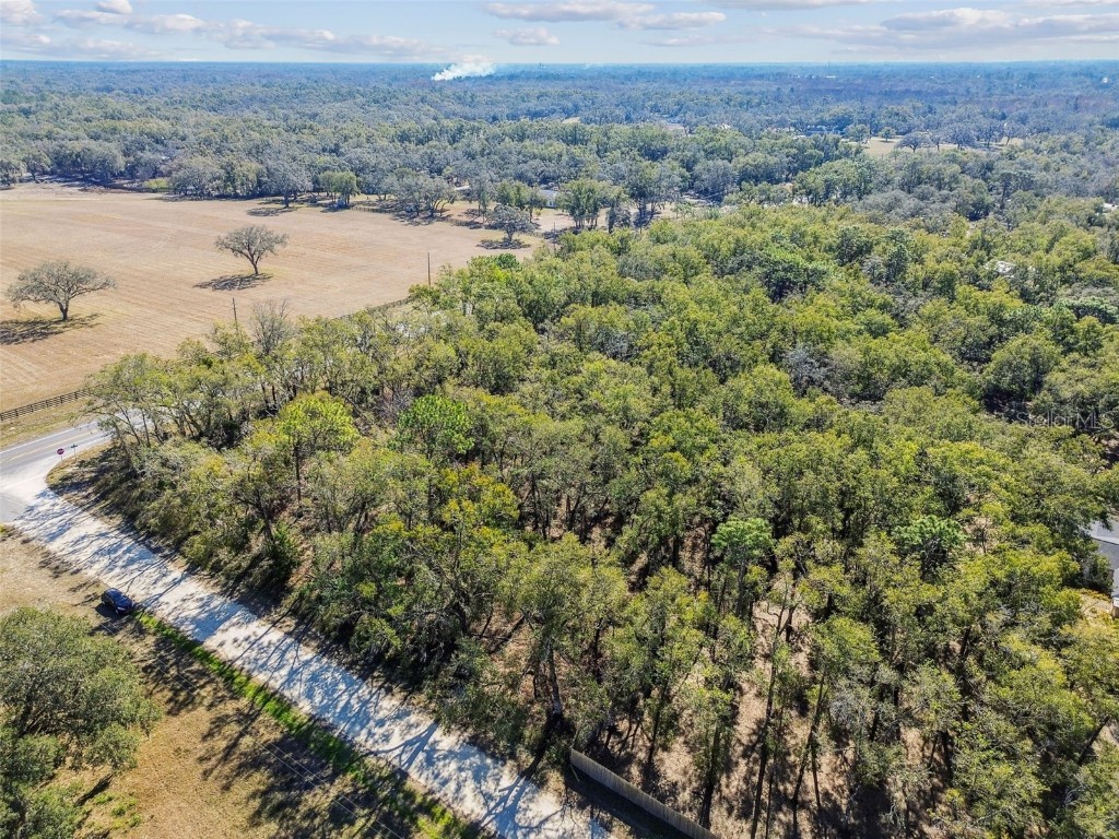 Mckethan Road Dade City FL 33523 TB8341280 image3