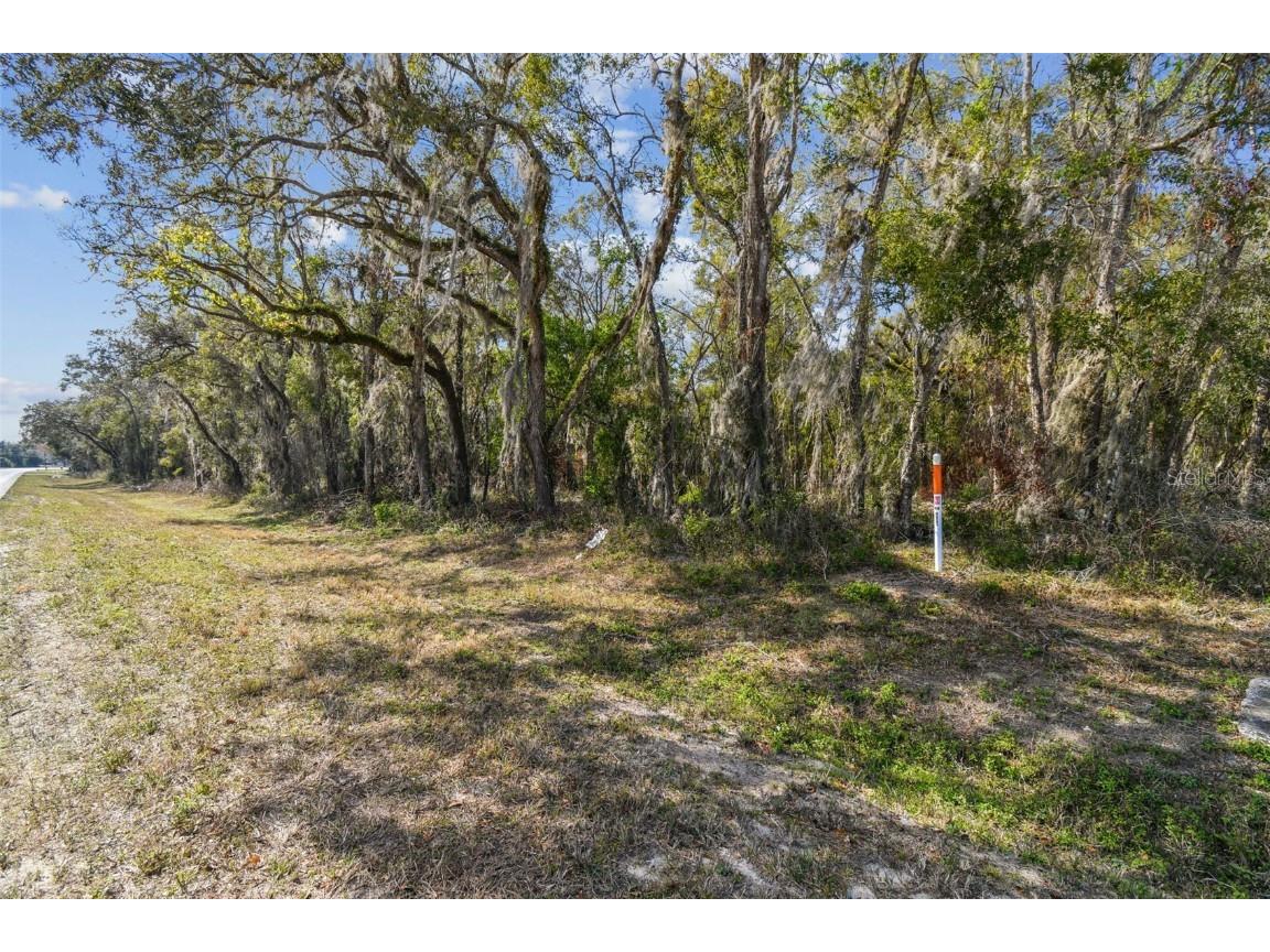 Mckethan Road Dade City FL 33523 TB8341280 image30