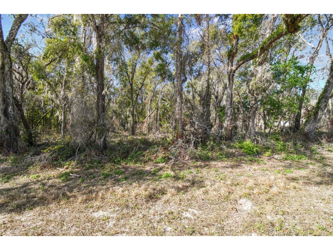 Mckethan Road Dade City FL 33523 TB8341280 image31