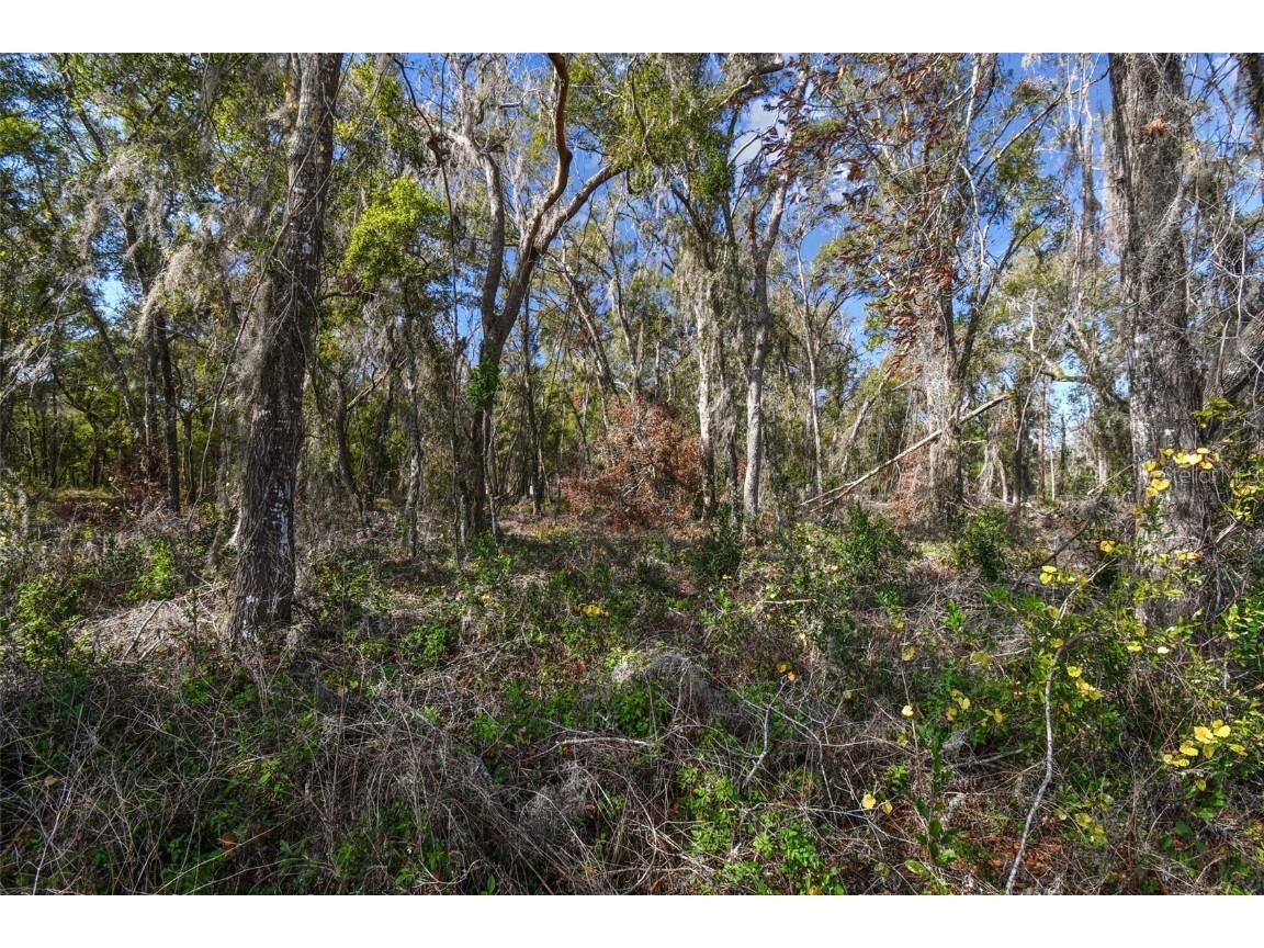 Mckethan Road Dade City FL 33523 TB8341280 image32