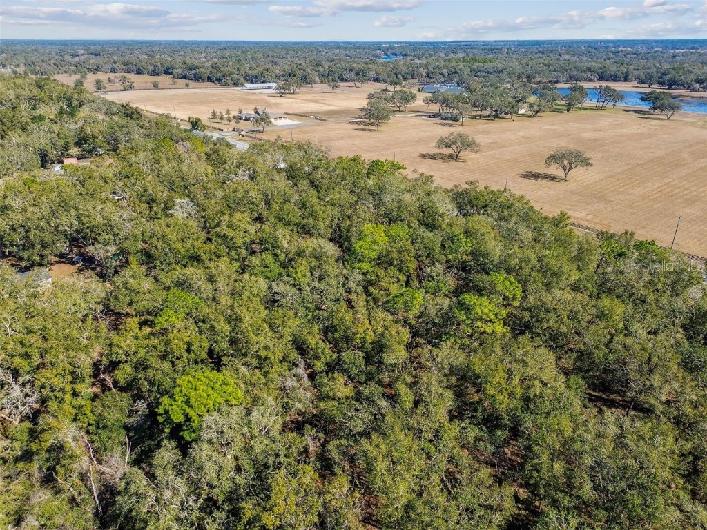 Mckethan Road Dade City FL 33523 TB8341280 image4