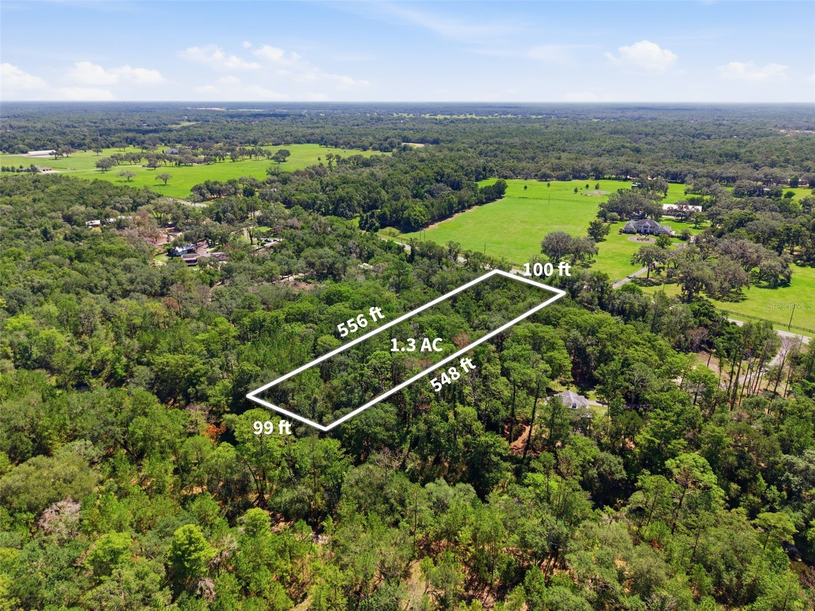 Mckethan Road Dade City FL 33523 - WITHLACOOCHEE RIVER TB8525668 image1