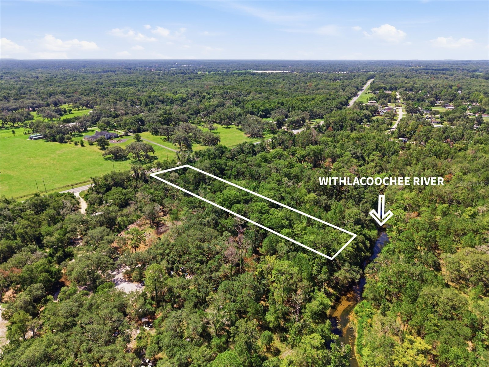 Mckethan Road Dade City FL 33523 - WITHLACOOCHEE RIVER TB8525668 image2